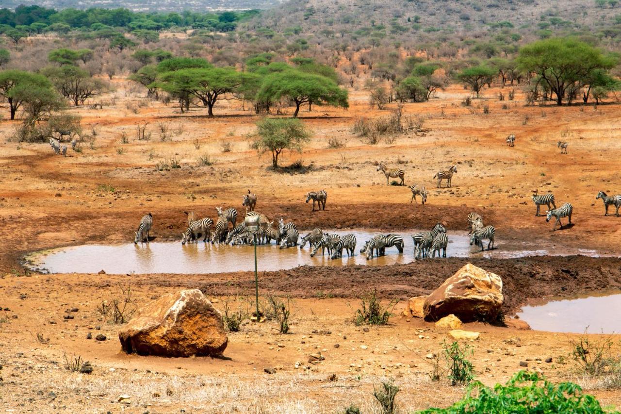 Kilaguni Serena Safari Lodge Tsavo Bagian luar foto