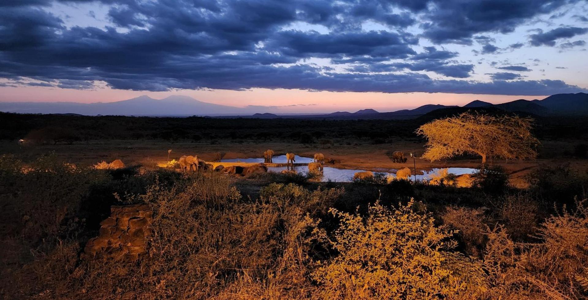 Kilaguni Serena Safari Lodge Tsavo Bagian luar foto
